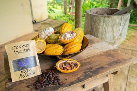 Costa Rica Organic farm and retreat property for sale - image 35