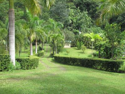 Costa Rica Organic farm and retreat property for sale - image 2