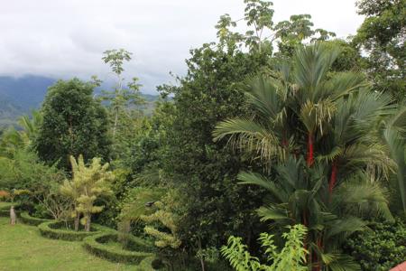 Costa Rica Organic farm and retreat property for sale - image 8