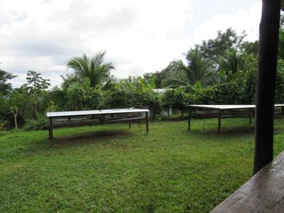 Costa Rica Organic farm and retreat property for sale - image 26