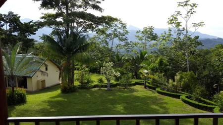 Costa Rica Organic farm and retreat property for sale - image 31