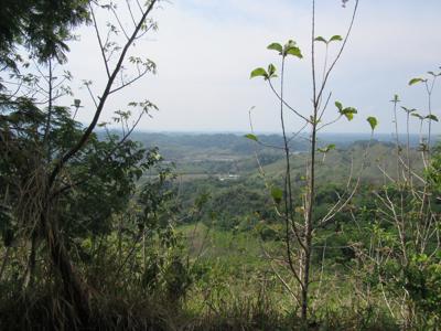 Costa Rica Organic farm and retreat property for sale - image 25