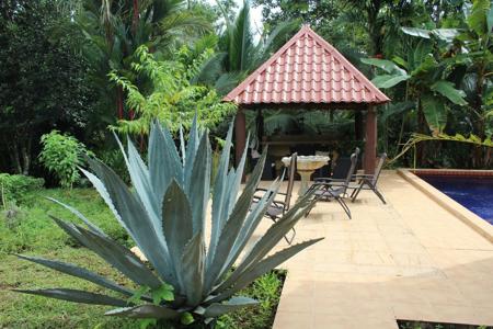 Costa Rica Organic farm and retreat property for sale - image 19