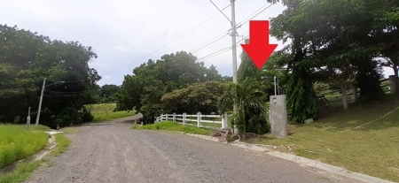 Mountain View Lot For Sale In Cabuya Chame Close Coronado - image 6