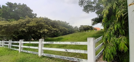 Mountain View Lot For Sale In Cabuya Chame Close Coronado - image 5
