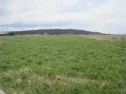 Northern NM Horse Property for Sale Irrigation Rights Fenced - image 2