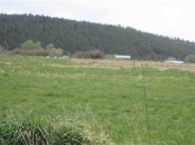 Northern NM Horse Property for Sale Irrigation Rights Fenced - image 3