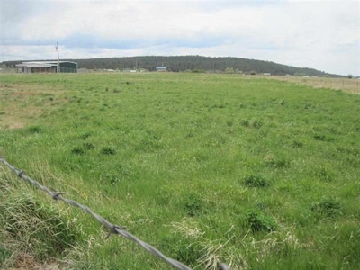 Northern NM Horse Property for Sale Irrigation Rights Fenced - image 1
