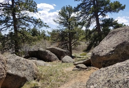 Quintessential Log Cabin - image 34