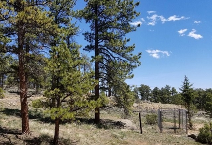 Quintessential Log Cabin - image 38