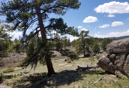 Quintessential Log Cabin - image 32