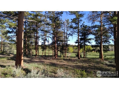 Build your dream home in Fox Acres! - image 12