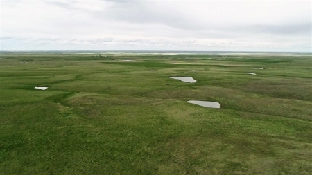 Meade County Sd Land Auction Live & Simulcast - image 2
