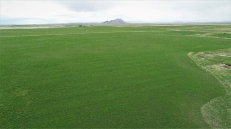 Meade County Sd Land Auction Live & Simulcast - image 4
