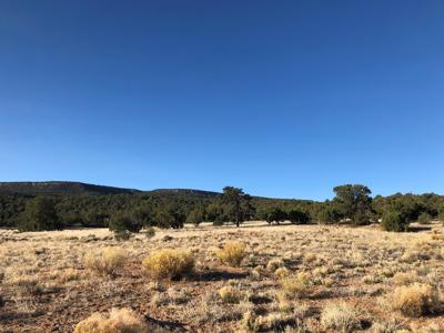 Grants New Mexico Cattle Ranch For Sale - image 7