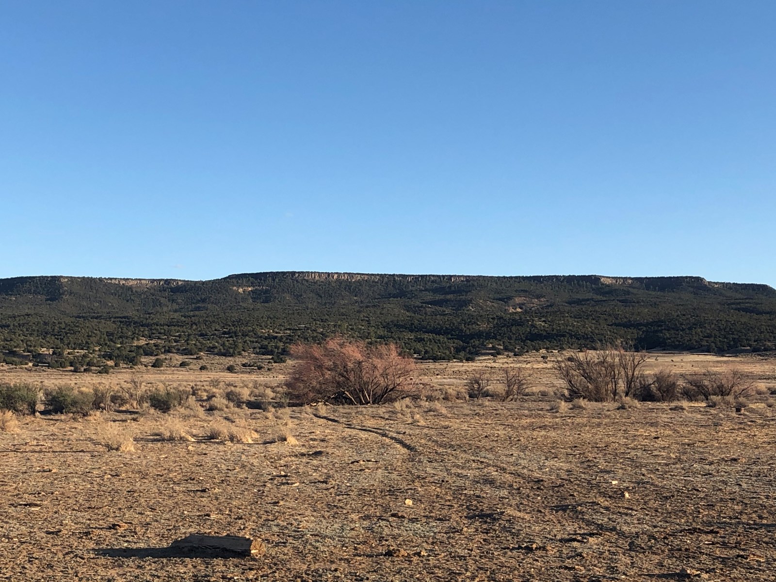 Grants New Mexico Cattle Ranch For Sale - image 15