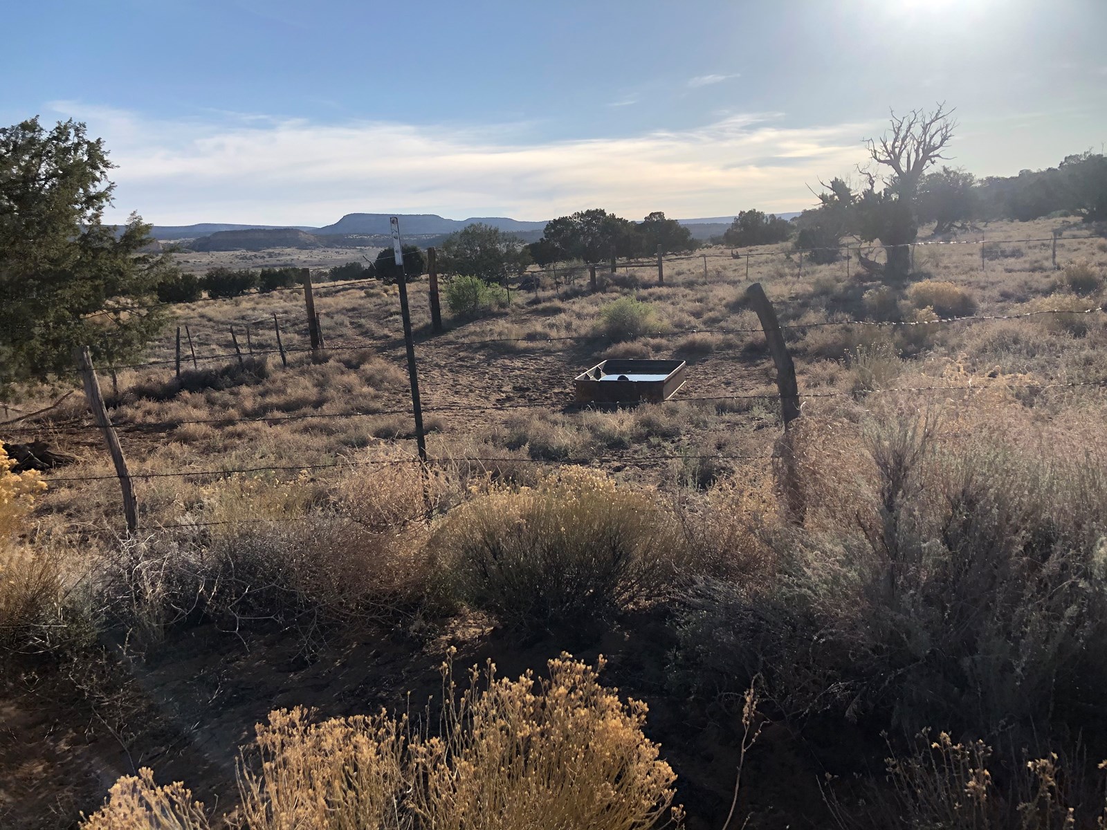 Grants New Mexico Cattle Ranch For Sale - image 18