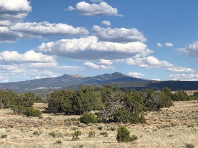 Grants New Mexico Cattle Ranch For Sale - image 4