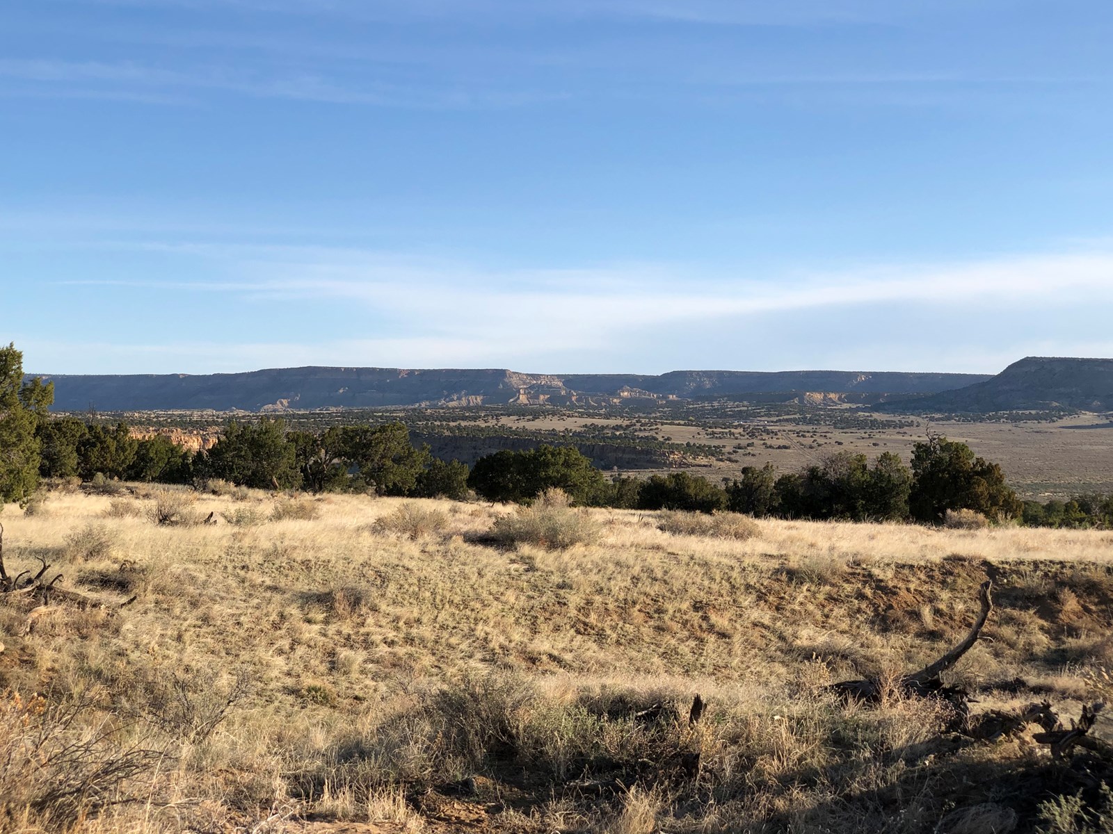 Grants New Mexico Cattle Ranch For Sale - image 17