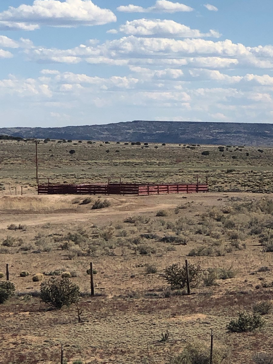 Grants New Mexico Cattle Ranch For Sale - image 6