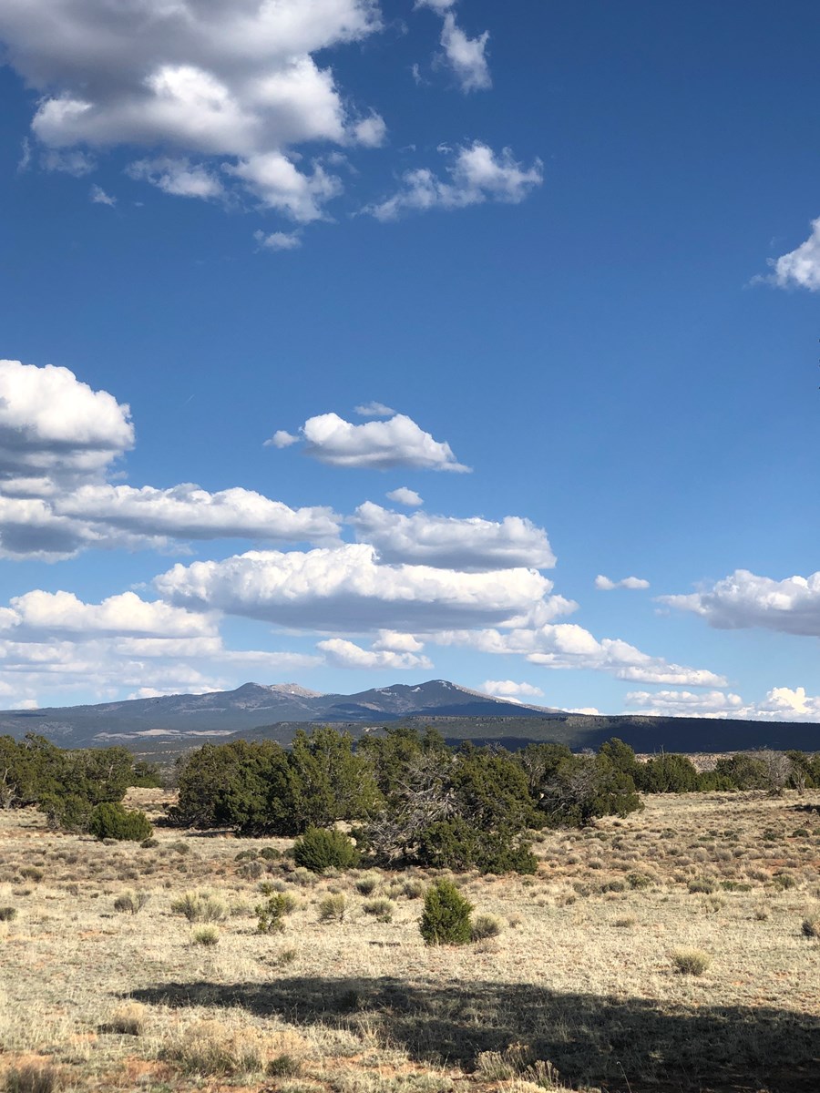 Grants New Mexico Cattle Ranch For Sale - image 10