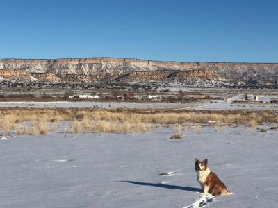 Grants New Mexico Cattle Ranch For Sale - image 19