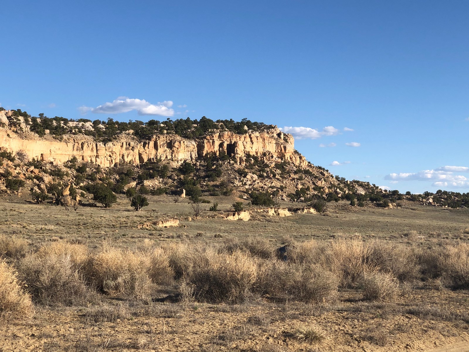 Grants New Mexico Cattle Ranch For Sale - image 5