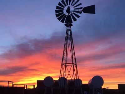 Grants New Mexico Cattle Ranch For Sale - image 3