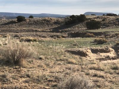 Grants New Mexico Cattle Ranch For Sale - image 20