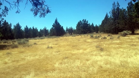 Over 23 Acres of Beautiful Modoc County Vacant Land For Sale - image 11