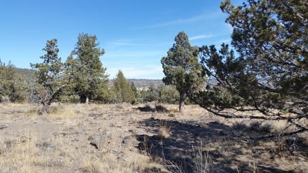 Over 23 Acres of Beautiful Modoc County Vacant Land For Sale - image 20