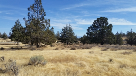 Over 23 Acres of Beautiful Modoc County Vacant Land For Sale - image 16