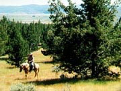 Over 23 Acres of Beautiful Modoc County Vacant Land For Sale - image 1