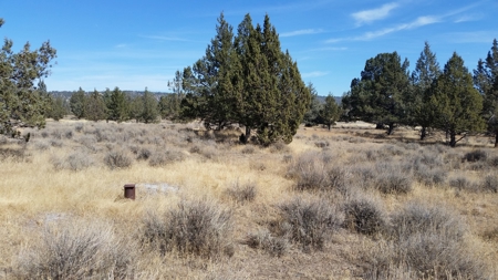 Over 23 Acres of Beautiful Modoc County Vacant Land For Sale - image 17