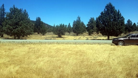 Over 23 Acres of Beautiful Modoc County Vacant Land For Sale - image 13