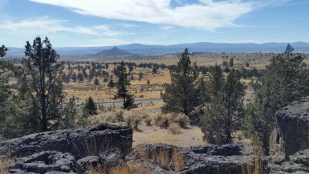 Over 23 Acres of Beautiful Modoc County Vacant Land For Sale - image 25