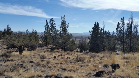 Over 23 Acres of Beautiful Modoc County Vacant Land For Sale - image 4
