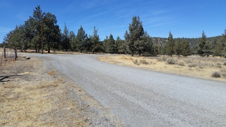 Over 23 Acres of Beautiful Modoc County Vacant Land For Sale - image 14