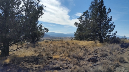 Over 23 Acres of Beautiful Modoc County Vacant Land For Sale - image 3