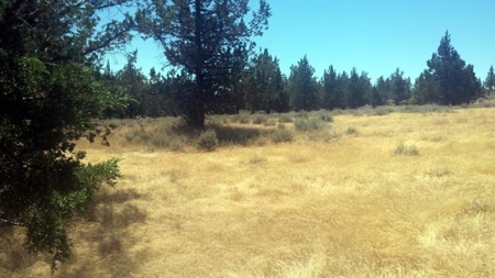 Over 23 Acres of Beautiful Modoc County Vacant Land For Sale - image 12