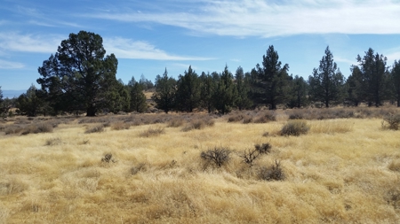 Over 23 Acres of Beautiful Modoc County Vacant Land For Sale - image 15