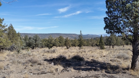 Over 23 Acres of Beautiful Modoc County Vacant Land For Sale - image 19