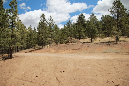 Colorado Mountain Cabin Log-Sided Amish Built - image 7