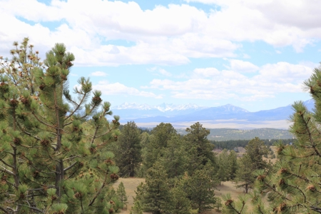 Colorado Mountain Cabin Log-Sided Amish Built - image 3