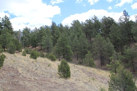 Colorado Mountain Cabin Log-Sided Amish Built - image 17