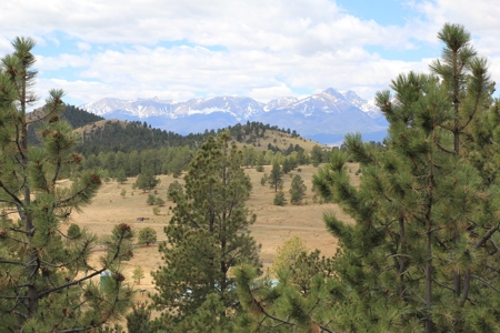 Colorado Mountain Cabin Log-Sided Amish Built - image 5