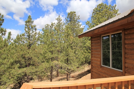 Colorado Mountain Cabin Log-Sided Amish Built - image 16