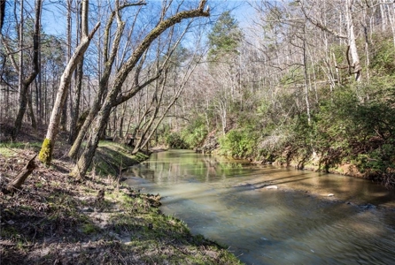 Country Home for sale in Pickens County - image 36