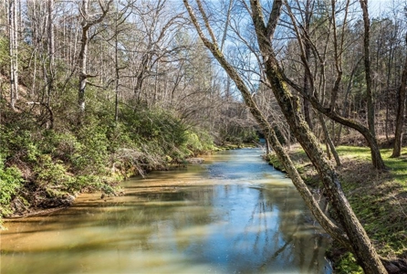 Country Home for sale in Pickens County - image 38