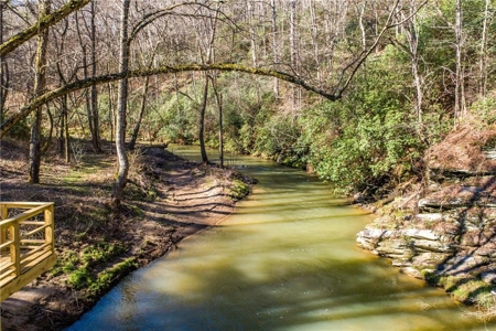 Country Home for sale in Pickens County - image 37